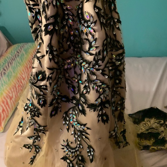 11-12 tony bowls - Picture 4 of 5